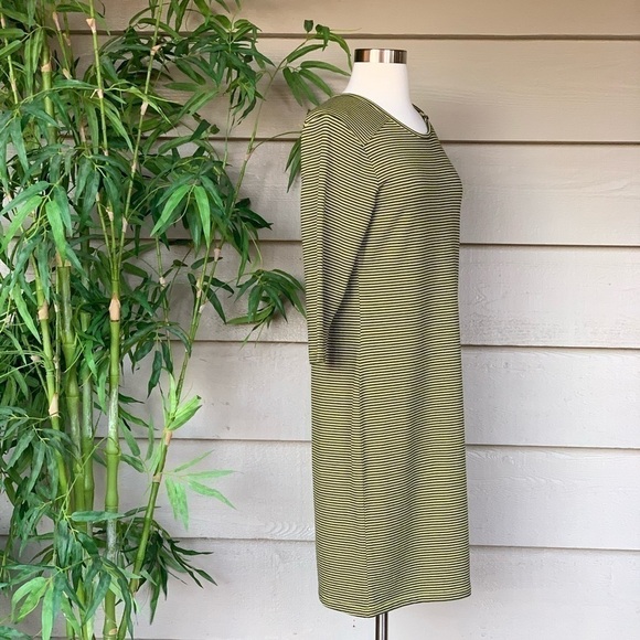 Eaze by Renuar Pistachio w/ Black Stripes Dress - Picture 2 of 7